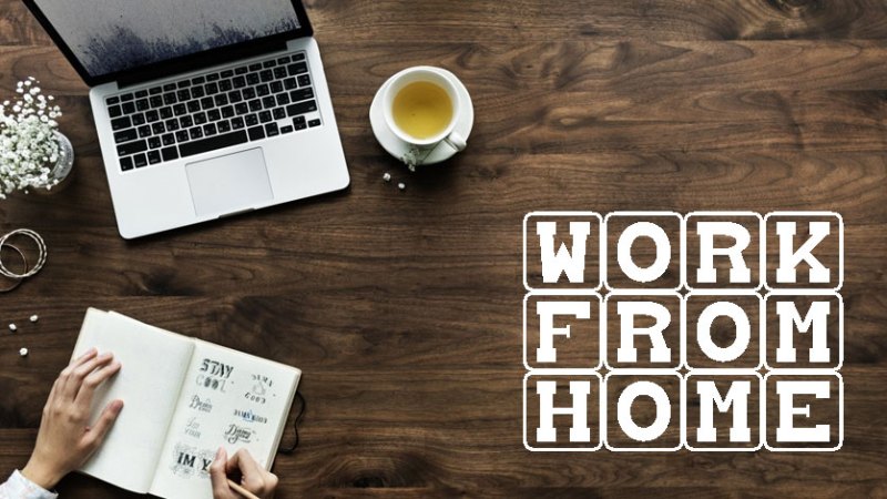 What are the best websites to work from home | Work as a Freelancer